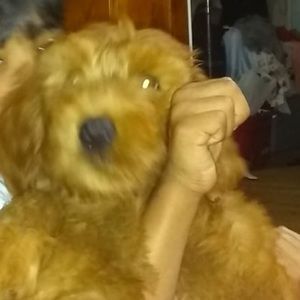 Meet your Posher, Genesis